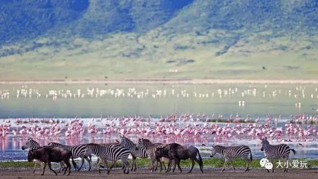 全世界最贵的酒店大起底，有两个在中国哦