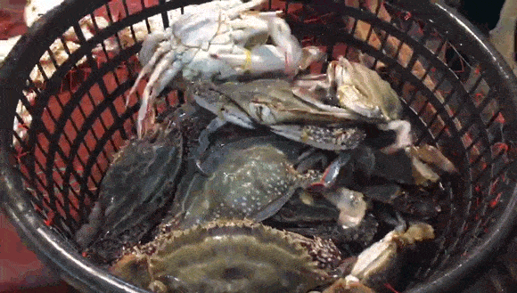 沒去過舟山,沒資格聊海鮮