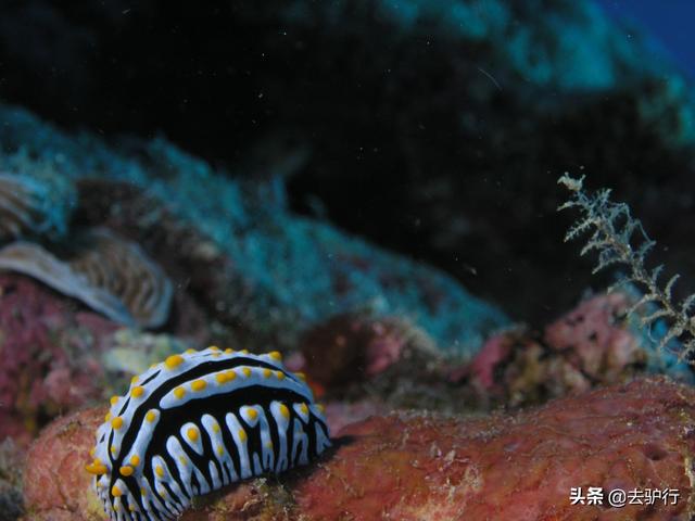 向中国捐助100欧元的非洲小国：渴望报答，却真的心有余而力不足