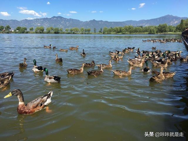 走出四九城，帶你去看北京周邊的寶藏