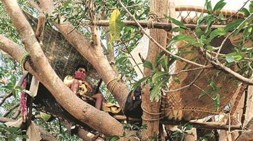 印度全境封锁下的生活百态： 躺在树上隔离、喝牛尿练瑜伽预防、步行回乡命丧途中……