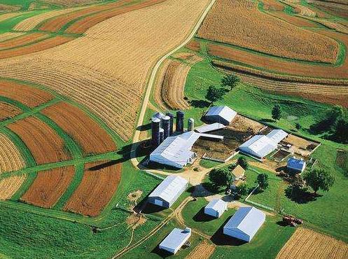 美国房子便宜的离谱, 为啥美国人不抢着买? 是因为没钱吗?