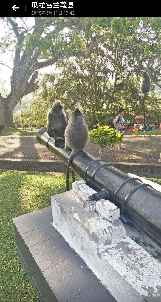 马来西亚之行我的第一次出国旅行