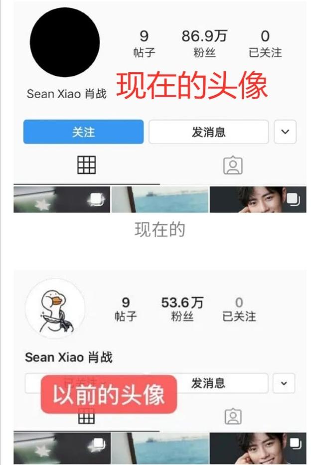 肖戰ins頭像鴨子換了 肖戰ins頭像變黑怎麽回事？疑似海外賬戶被黑