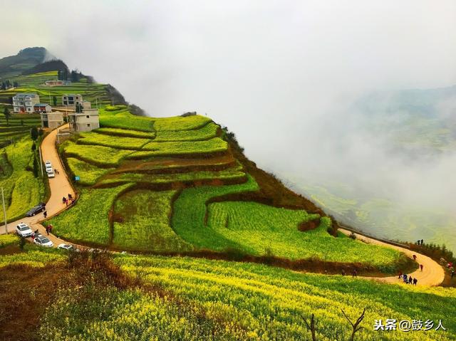 油菜花开了，可惜没有游客来欣赏