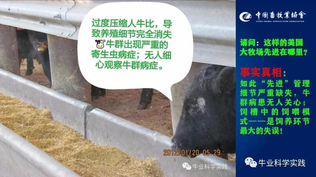 美国的肉牛产业没有传说中那么强大