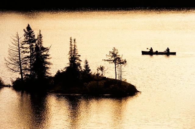 为何有人喜欢收集美国车牌,盘点全美50个州车牌,看完你也想收集