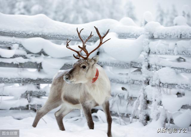 欧洲的这12个世界之最，你都知道吗？