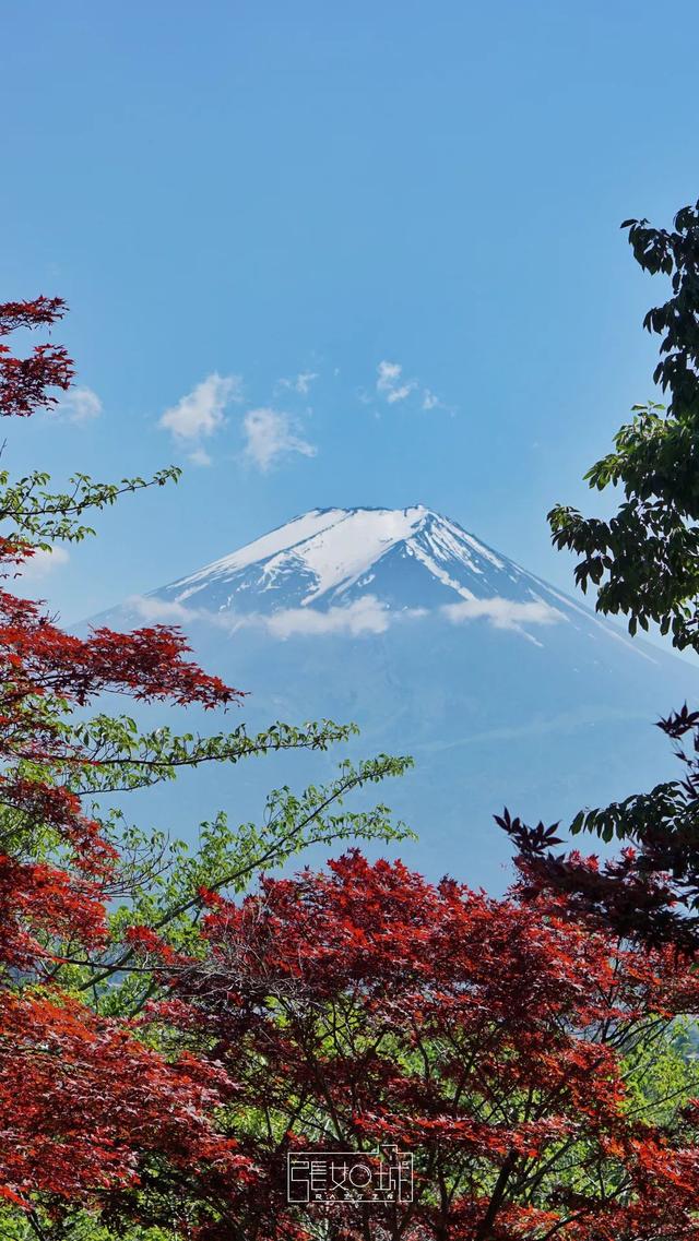 日本 | 河口湖篇：兜兜转转皆是你