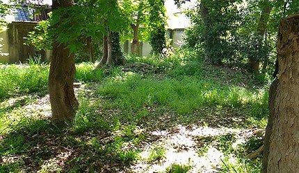 战国迷不可不知秘密景点──来京都探索第六天魔王织田信长的踪迹