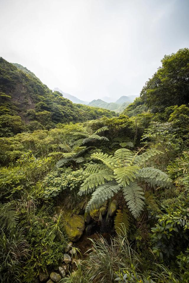 除了海南，中國還有哪些熱帶地區呢？讓我們一起來看一看