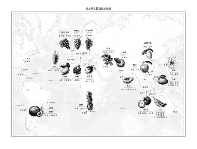 一个19世纪的“食物间谍”，如何把鳄梨从智利引入美国？