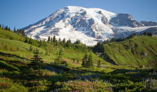 为何有人喜欢收集美国车牌,盘点全美50个州车牌,看完你也想收集