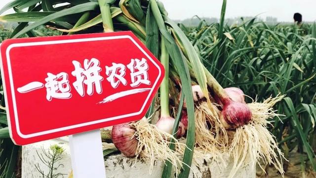 拼多多财报发布：资本追捧下的流量迷局