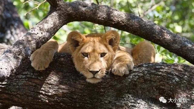 全世界最贵的酒店大起底，有两个在中国哦