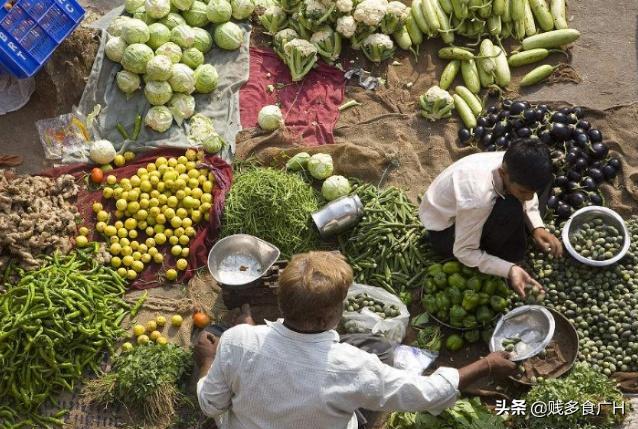 西方國家對東方菜市場的評價：日本幹淨，印度髒亂，中國好豐富