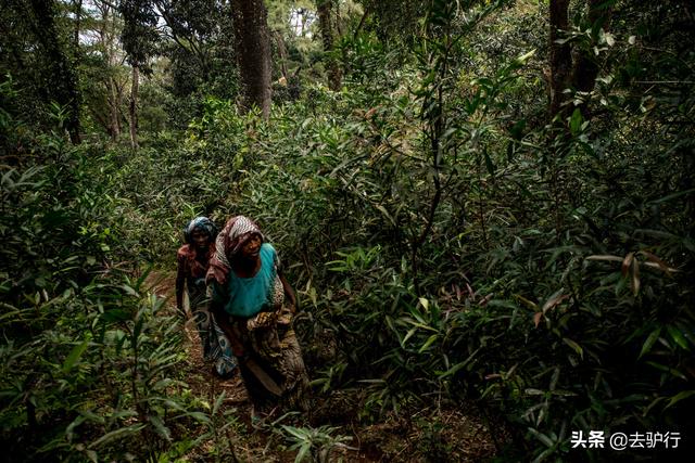 向中国捐助100欧元的非洲小国：渴望报答，却真的心有余而力不足