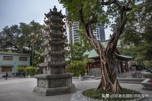 与老广州同游四大名寺之首，镜头追寻海幢寺前世今生的遗存