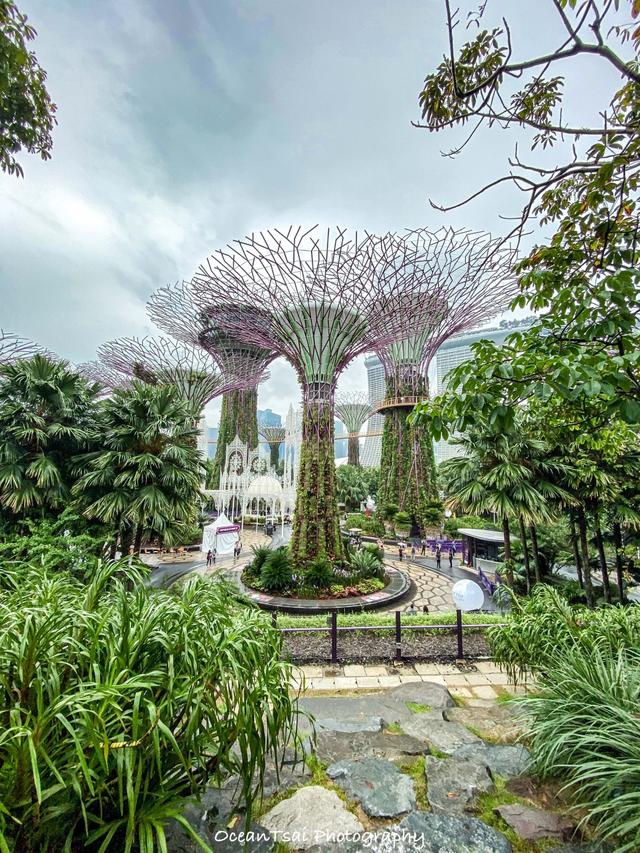 「新加坡·三日游」花园城市新加坡是一道光，绿到你发慌！