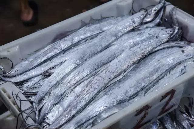 沒去過舟山,沒資格聊海鮮