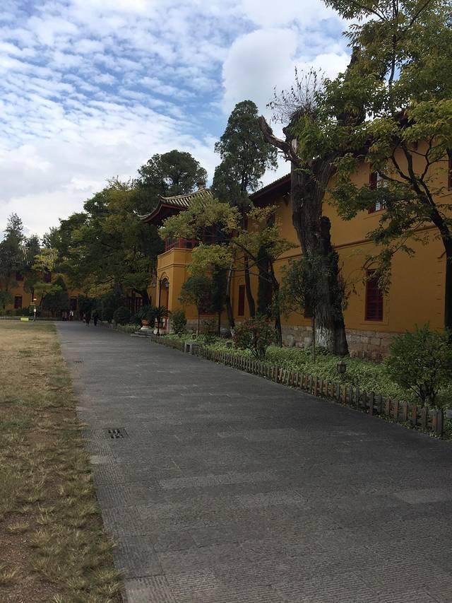 陪父母走一場風花雪月！昆明、大理、麗江、香格裏拉、梅裏雪山 自駕遊