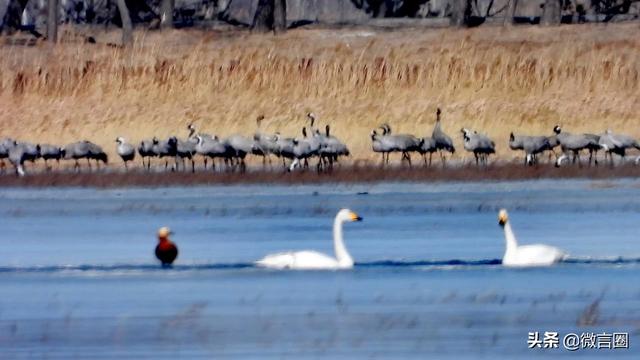 神秘的千年古城淹没在官厅湖底，这个国家湿地公园横跨北京河北