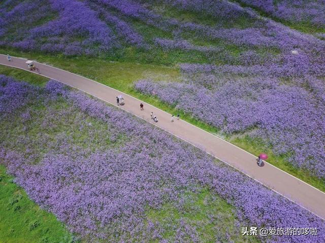 联合国评选的中国最美旅行地之一，万峰成林峡谷飞瀑，却少有人知