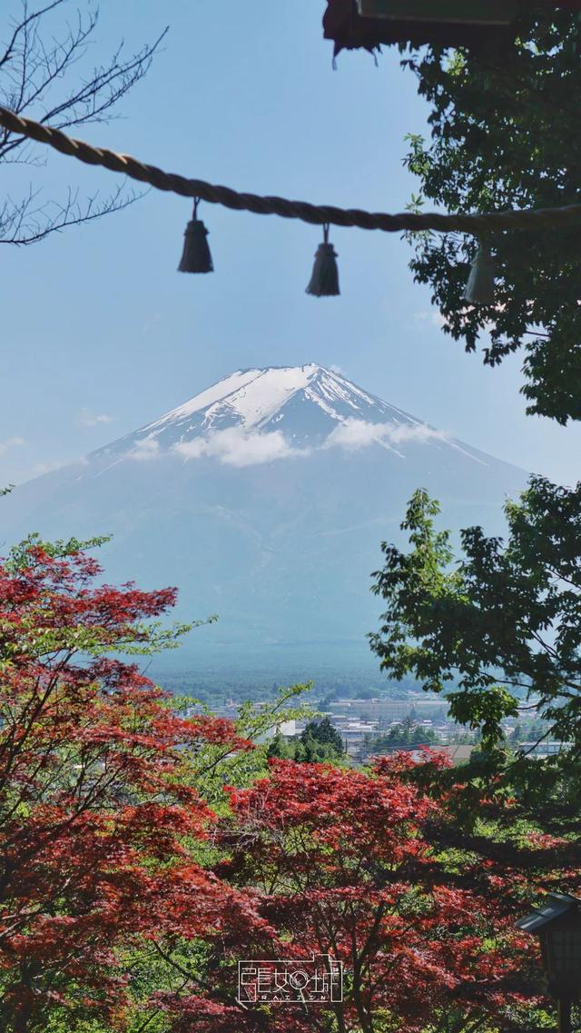 日本 | 河口湖篇：兜兜转转皆是你