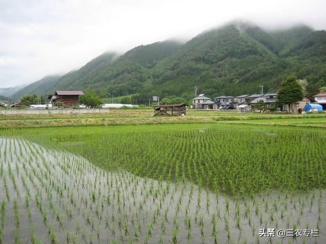 看看日本真实的农村，再看中国的农村，看完才知道差距有多大