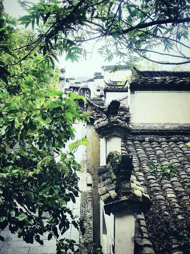 中国最美的50个古村镇,你到过几个?