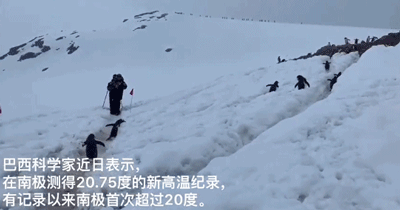 我们终于把地球搞出事了