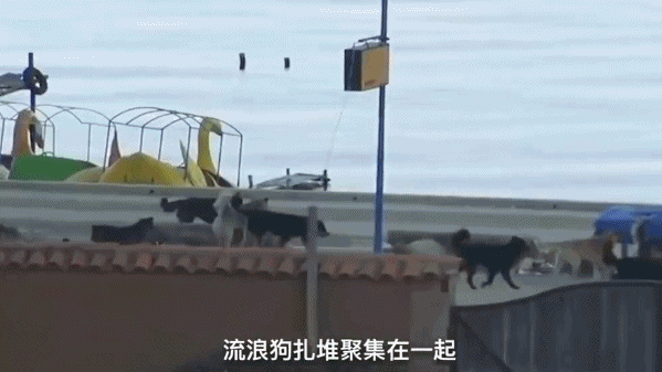 我们终于把地球搞出事了