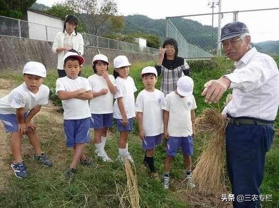 看看日本真实的农村，再看中国的农村，看完才知道差距有多大