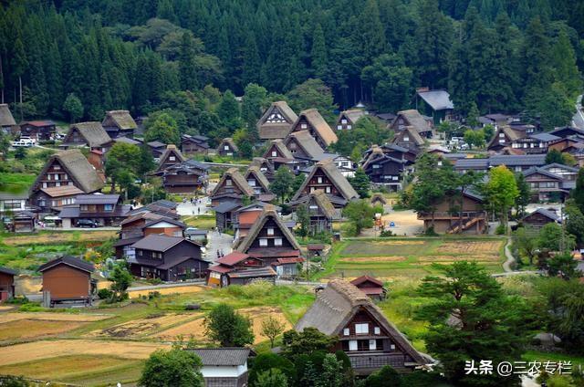 看看日本真实的农村，再看中国的农村，看完才知道差距有多大