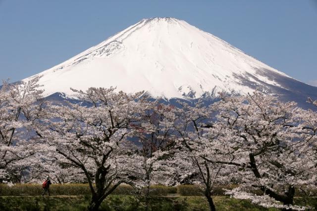 警惕火山碎屑流！日本擬修改富士山防災對策