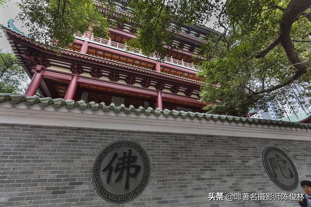 与老广州同游四大名寺之首，镜头追寻海幢寺前世今生的遗存