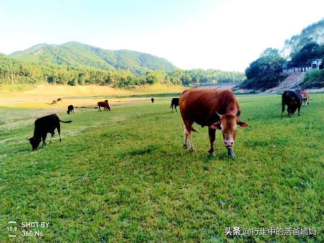 博罗山村漫游记：写给所有陪伴的一首赞歌｜与你们同行，何其有幸