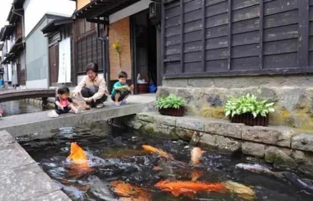 看了真实的日本农村，给我国乡村旅游旅游带来哪些启发？