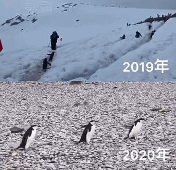 我们终于把地球搞出事了