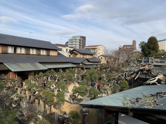 日本还有一个小众旅游地——春花园