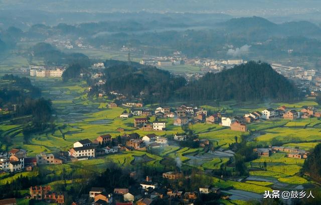 油菜花开了，可惜没有游客来欣赏