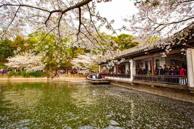 陽春三月！中國最美的地方