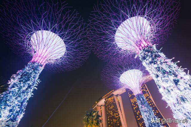 購物天堂——新加坡——以後要不要去逛逛——現在只能雲旅遊