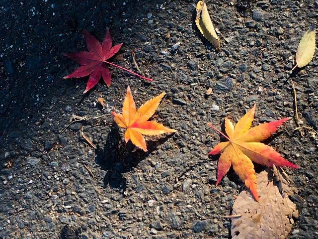 1413元5天4晚玩大阪!怎么做到的?