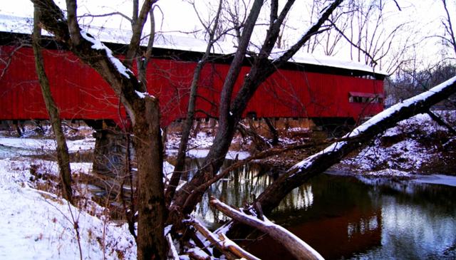 为何有人喜欢收集美国车牌,盘点全美50个州车牌,看完你也想收集