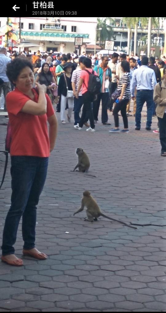 马来西亚之行我的第一次出国旅行