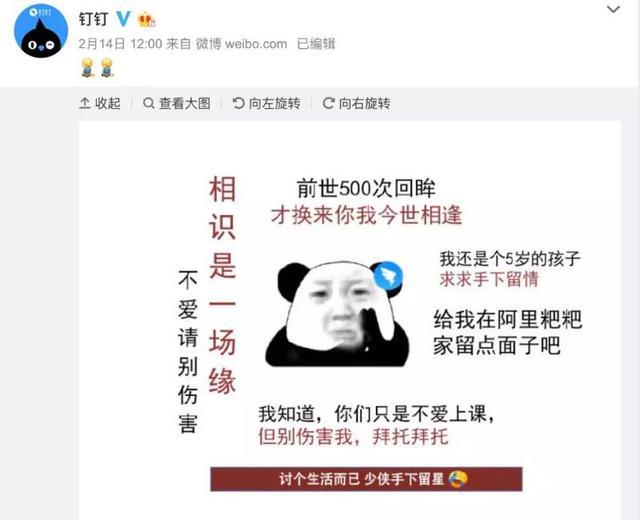 聯合國向全球推薦“阿裏釘釘”！網友直呼：阿裏還是比騰訊強？