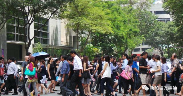 新加坡陷入確診人數直線飙升期，出門小心被吊銷准證、罰款
