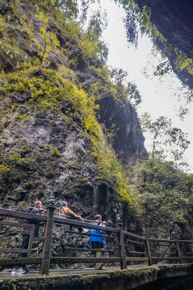 只有峨眉山