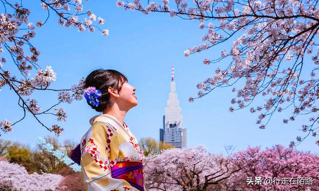 日本樱花季：禁止73国游客入境，本地人戴口罩赏樱